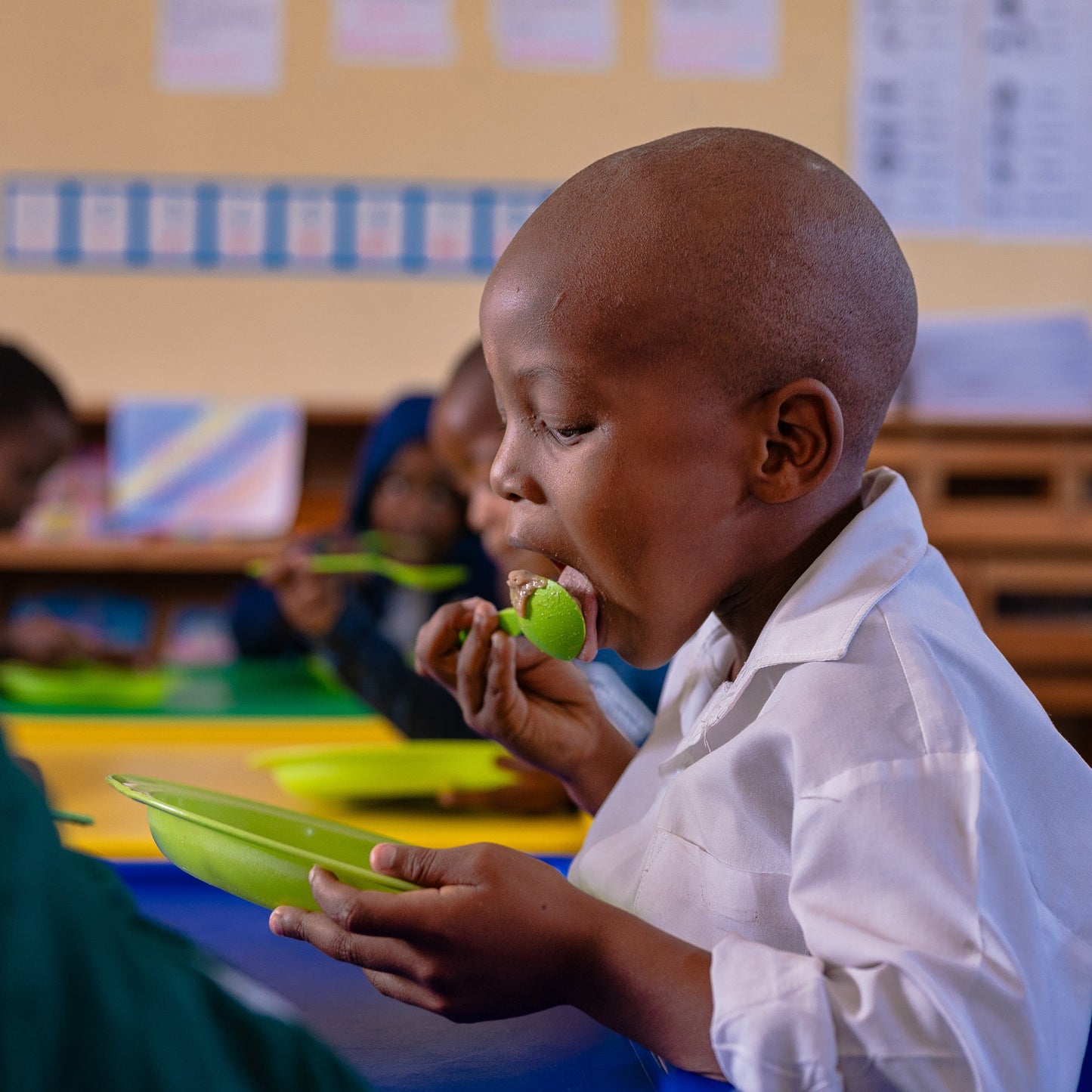 "Limited edition" WFD socks